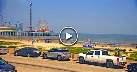 galveston webcams live|Murdochs Cam